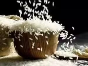 Basmati Rice 10 KG
